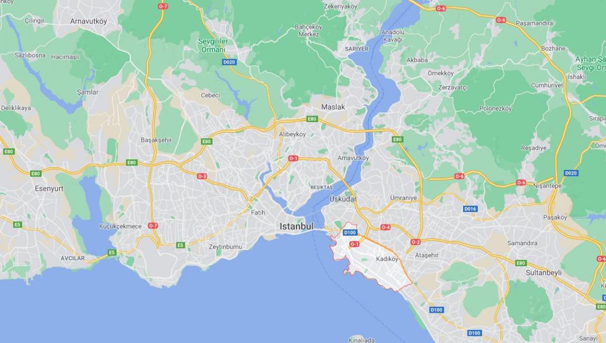 地図のkadikoyイスタンブール
